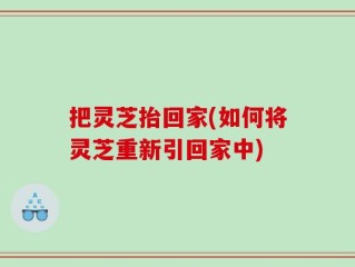 把灵芝抬回家(如何将灵芝重新引回家中)