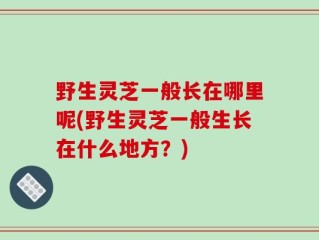 野生灵芝一般长在哪里呢(野生灵芝一般生长在什么地方？)
