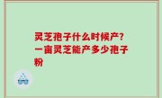 灵芝孢子什么时候产？一亩灵芝能产多少孢子粉