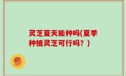 灵芝夏天能种吗(夏季种植灵芝可行吗？)