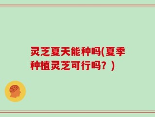 灵芝夏天能种吗(夏季种植灵芝可行吗？)