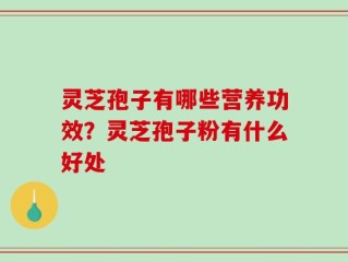 灵芝孢子有哪些营养功效？灵芝孢子粉有什么好处