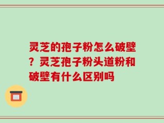 灵芝的孢子粉怎么破壁？灵芝孢子粉头道粉和破壁有什么区别吗