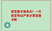 灵芝孢子有多大？一只灵芝可以产多少灵芝孢子粉