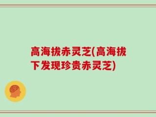 高海拔赤灵芝(高海拔下发现珍贵赤灵芝)