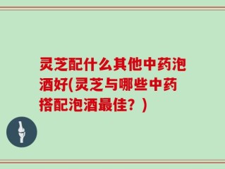 灵芝配什么其他中药泡酒好(灵芝与哪些中药搭配泡酒最佳？)
