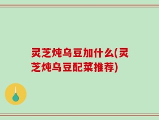灵芝炖乌豆加什么(灵芝炖乌豆配菜推荐)