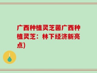 广西种植灵芝菌广西种植灵芝：林下经济新亮点)