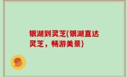 银湖到灵芝(银湖直达灵芝，畅游美景)
