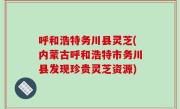 呼和浩特务川县灵芝(内蒙古呼和浩特市务川县发现珍贵灵芝资源)