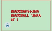 西充灵芝桥钓小龙虾(西充灵芝桥上“龙虾大战”)