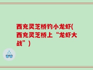 西充灵芝桥钓小龙虾(西充灵芝桥上“龙虾大战”)