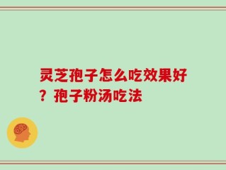 灵芝孢子怎么吃效果好？孢子粉汤吃法