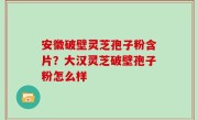 安徽破壁灵芝孢子粉含片？大汉灵芝破壁孢子粉怎么样