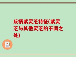 反柄紫灵芝特征(紫灵芝与其他灵芝的不同之处)