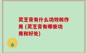 灵芝膏有什么功效和作用 (灵芝膏有哪些功用和好处)