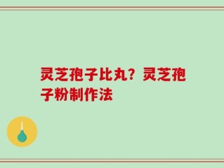 灵芝孢子比丸？灵芝孢子粉制作法