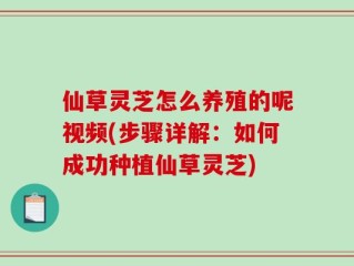 仙草灵芝怎么养殖的呢视频(步骤详解：如何成功种植仙草灵芝)