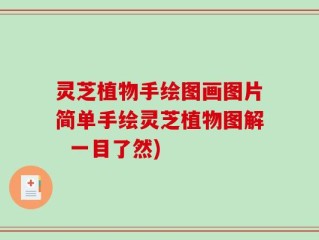 灵芝植物手绘图画图片简单手绘灵芝植物图解  一目了然)