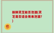 新鲜灵芝能否泡酒(灵芝是否适合用来泡酒？)