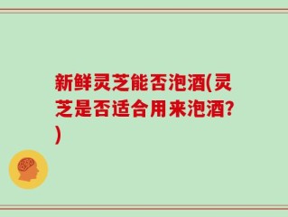 新鲜灵芝能否泡酒(灵芝是否适合用来泡酒？)