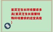 紫灵芝生长环境要求多高(紫灵芝生长需要特殊环境要求的适宜高度)