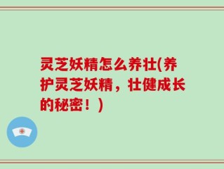 灵芝妖精怎么养壮(养护灵芝妖精，壮健成长的秘密！)