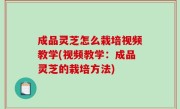 成品灵芝怎么栽培视频教学(视频教学：成品灵芝的栽培方法)