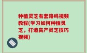 种植灵芝有套路吗视频教程(学习如何种植灵芝，打造高产灵芝技巧视频)