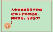 人参天麻鹿茸灵芝泡酒功效(五种药材泡酒，健脑益智，保健养生！)
