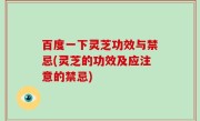 百度一下灵芝功效与禁忌(灵芝的功效及应注意的禁忌)