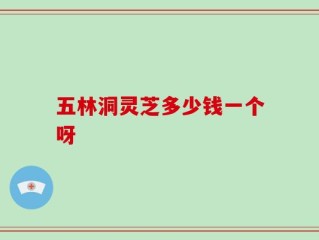 五林洞灵芝多少钱一个呀