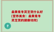 桑黄麦冬灵芝煲什么好(营养美食：桑黄麦冬灵芝煲的健康功效)