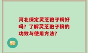 河北保定灵芝孢子粉好吗？了解灵芝孢子粉的功效与使用方法？
