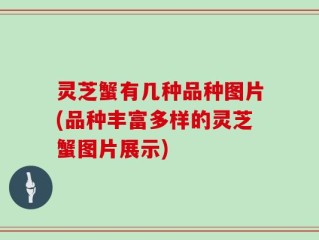 灵芝蟹有几种品种图片(品种丰富多样的灵芝蟹图片展示)