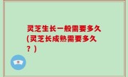 灵芝生长一般需要多久(灵芝长成熟需要多久？)