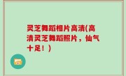 灵芝舞蹈相片高清(高清灵芝舞蹈照片，仙气十足！)