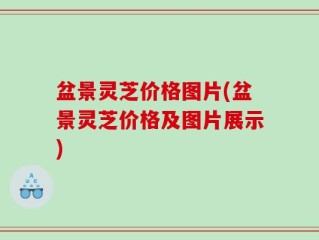 盆景灵芝价格图片(盆景灵芝价格及图片展示)