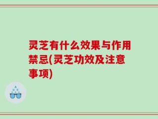 灵芝有什么效果与作用禁忌(灵芝功效及注意事项)