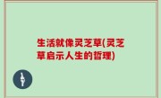 生活就像灵芝草(灵芝草启示人生的哲理)