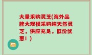 大量采购灵芝(海外品牌大规模采购纯天然灵芝，供应充足，低价优惠！)