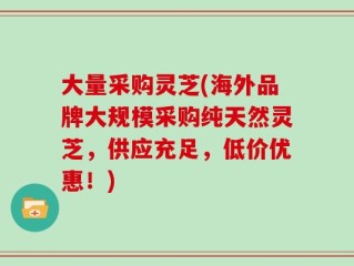 大量采购灵芝(海外品牌大规模采购纯天然灵芝，供应充足，低价优惠！)