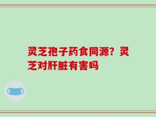 灵芝孢子药食同源？灵芝对肝脏有害吗