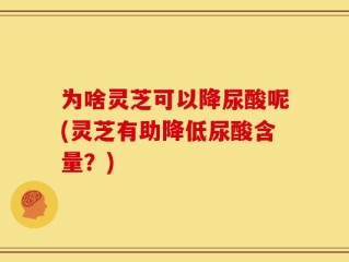 为啥灵芝可以降尿酸呢(灵芝有助降低尿酸含量？)