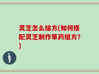 灵芝怎么组方(如何搭配灵芝制作草药组方？)