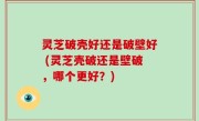 灵芝破壳好还是破壁好 (灵芝壳破还是壁破，哪个更好？)