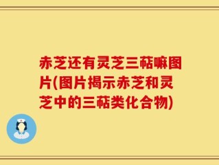 赤芝还有灵芝三萜嘛图片(图片揭示赤芝和灵芝中的三萜类化合物)