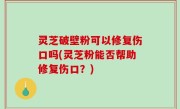 灵芝破壁粉可以修复伤口吗(灵芝粉能否帮助修复伤口？)