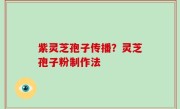 紫灵芝孢子传播？灵芝孢子粉制作法