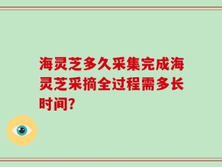 海灵芝多久采集完成海灵芝采摘全过程需多长时间？